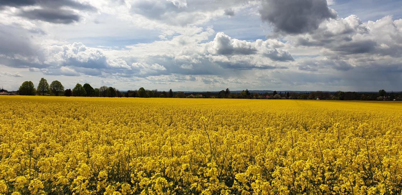 Napfény Apartmanház Balatonberény Esterno foto
